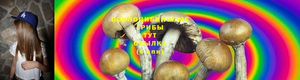 PSILOCYBIN Дмитровск