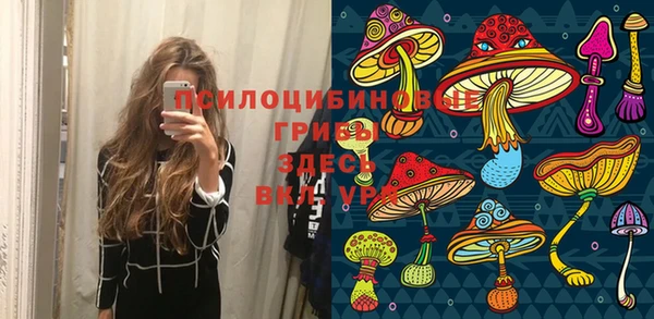 PSILOCYBIN Дмитровск