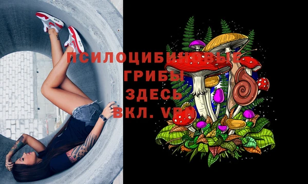 mdma Елизово